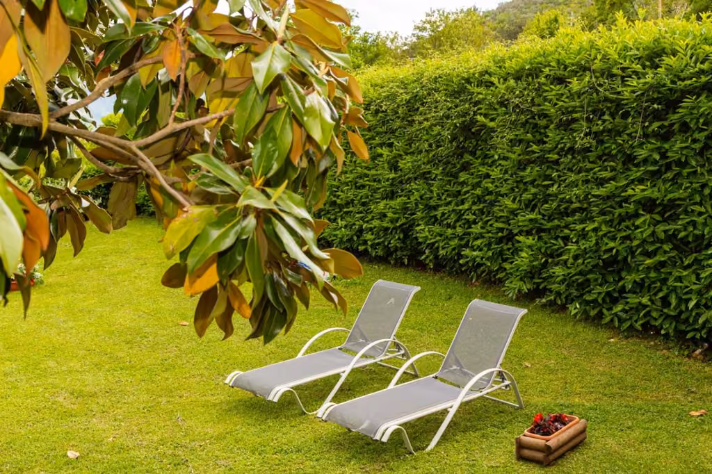Il giardino della Tenuta Del Daino ad Alvito con gli alberi e il prato