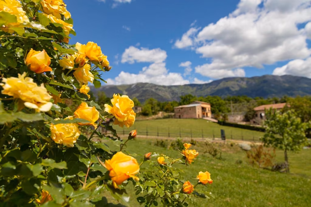 Vista sulle montagne dall’interno dell’agriturismo